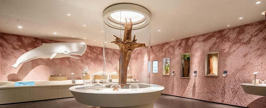 Xuelei fragrance museum